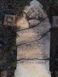 image of grave number 513029